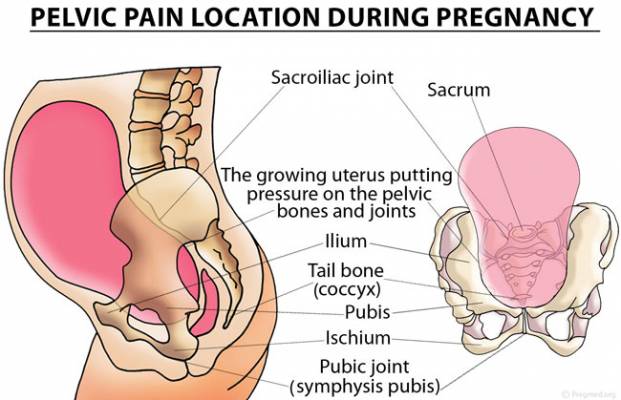 pain-location-during-pregnancy