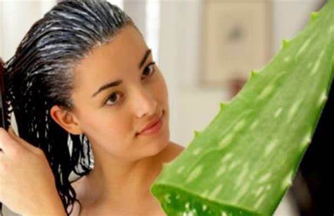 Benefits of Aloe-Vera for skin and hair