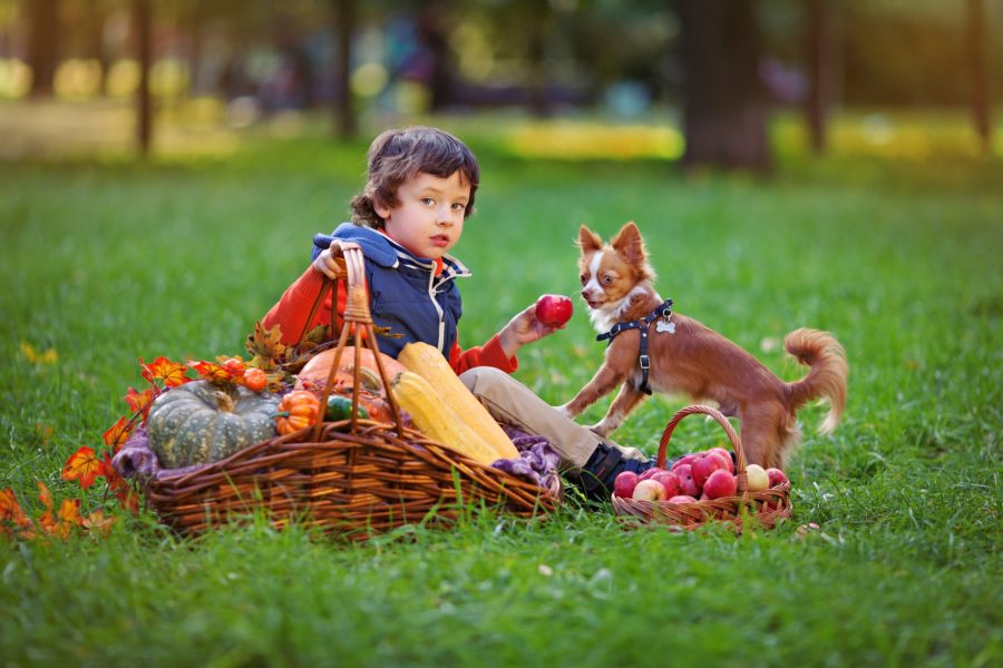 Know The Reasons Why Pets Are Great For Kids