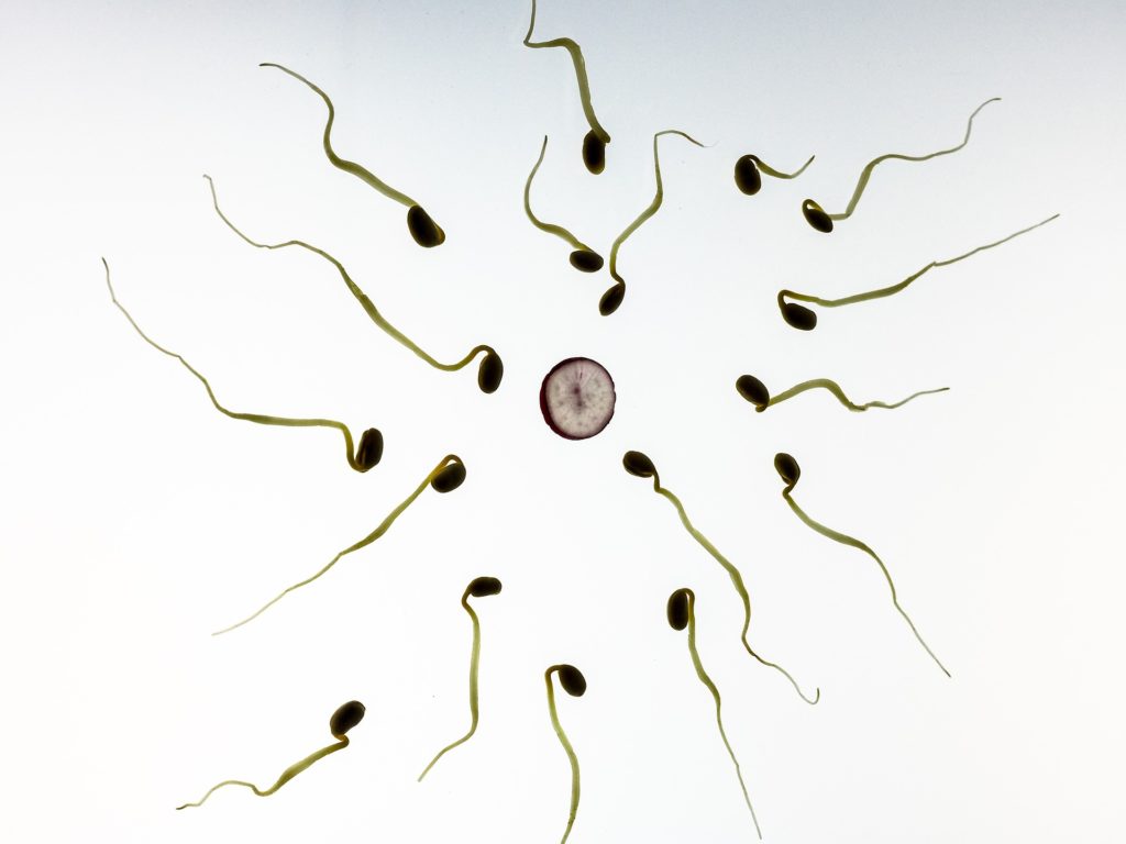 Myths About Infertility In Couples
